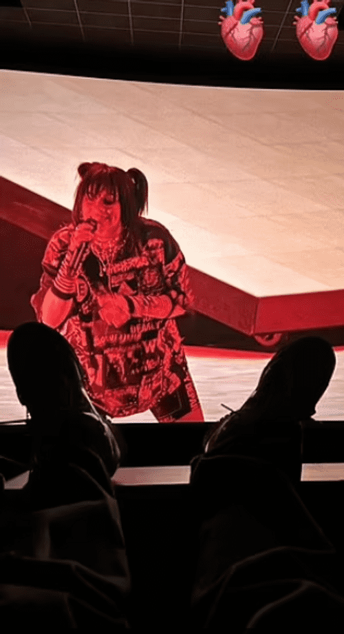 Billie Eilish snuck into a showing and shared a photo of her feet as she laid back in a recliner seat enjoying the film  (billieeilish/Instagram story)