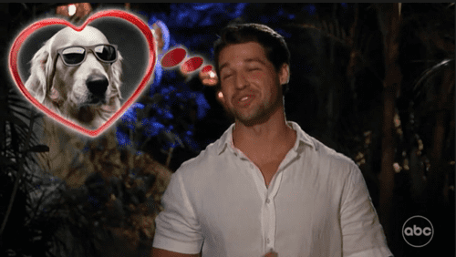 Hayden Markowitz in 'Bachelor in Paradise' 2022 (ABC)