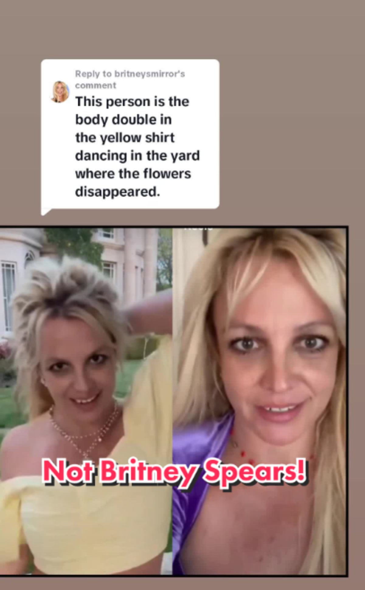 (@britneysmirror/TikTok)