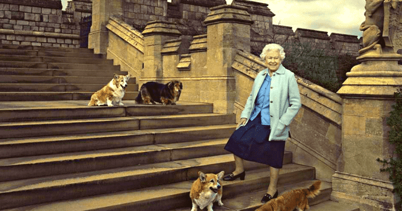 Queen Elizabeth II with her beloved dogs. (Instagram/@theroyalfamily)