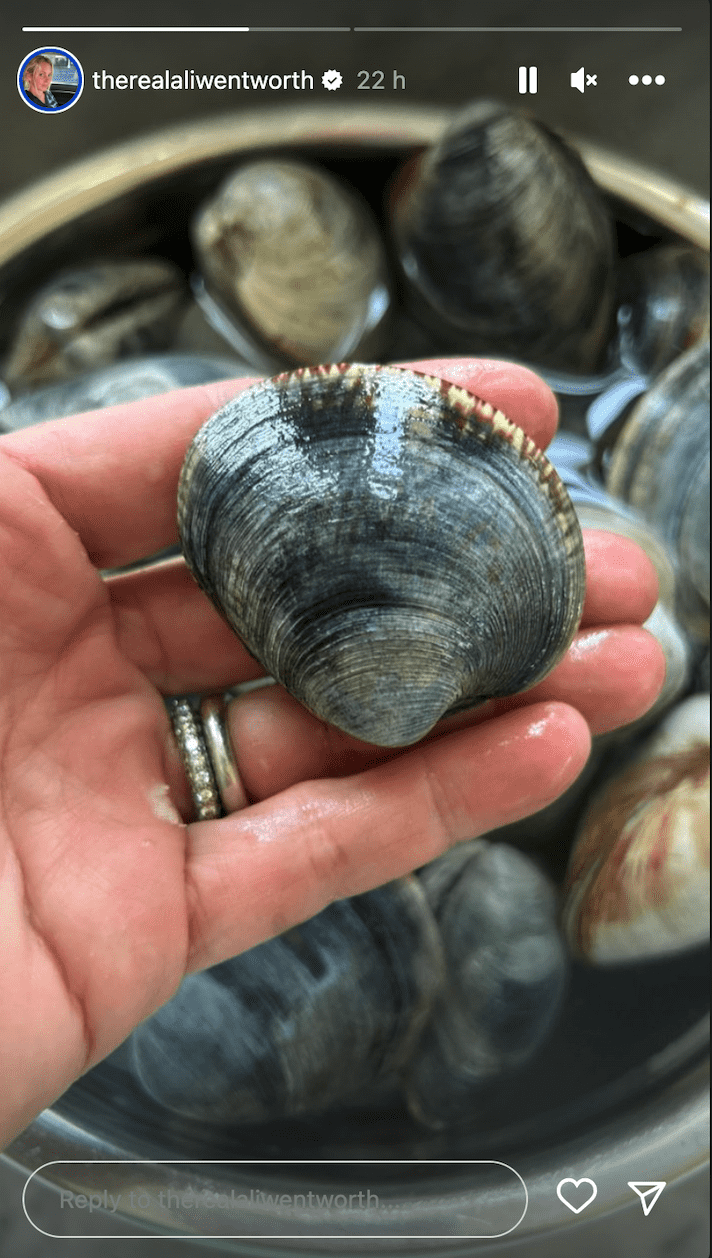 Ali later uploaded a snap of her gatherings from the waters (@therealaliwentworth/Instagram)