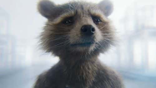 A still of Rocket Raccoon (Bradley Cooper) in 'Guardians of the Galaxy Vol. 3' (Marvel Studios)