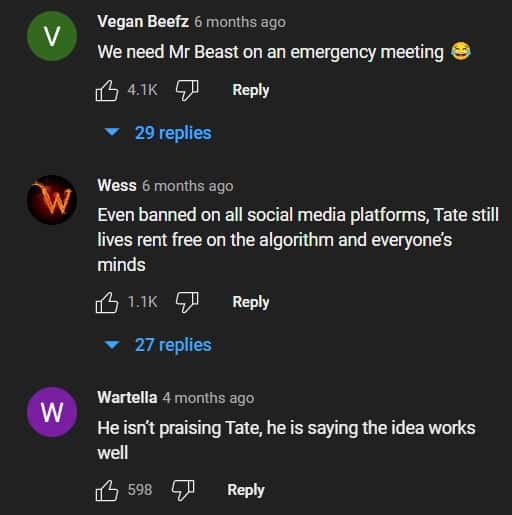 Certain users took to the YouTube comments section to display who they are supporting in the verbal battle between the two giants (masculinewisdom/YouTube)