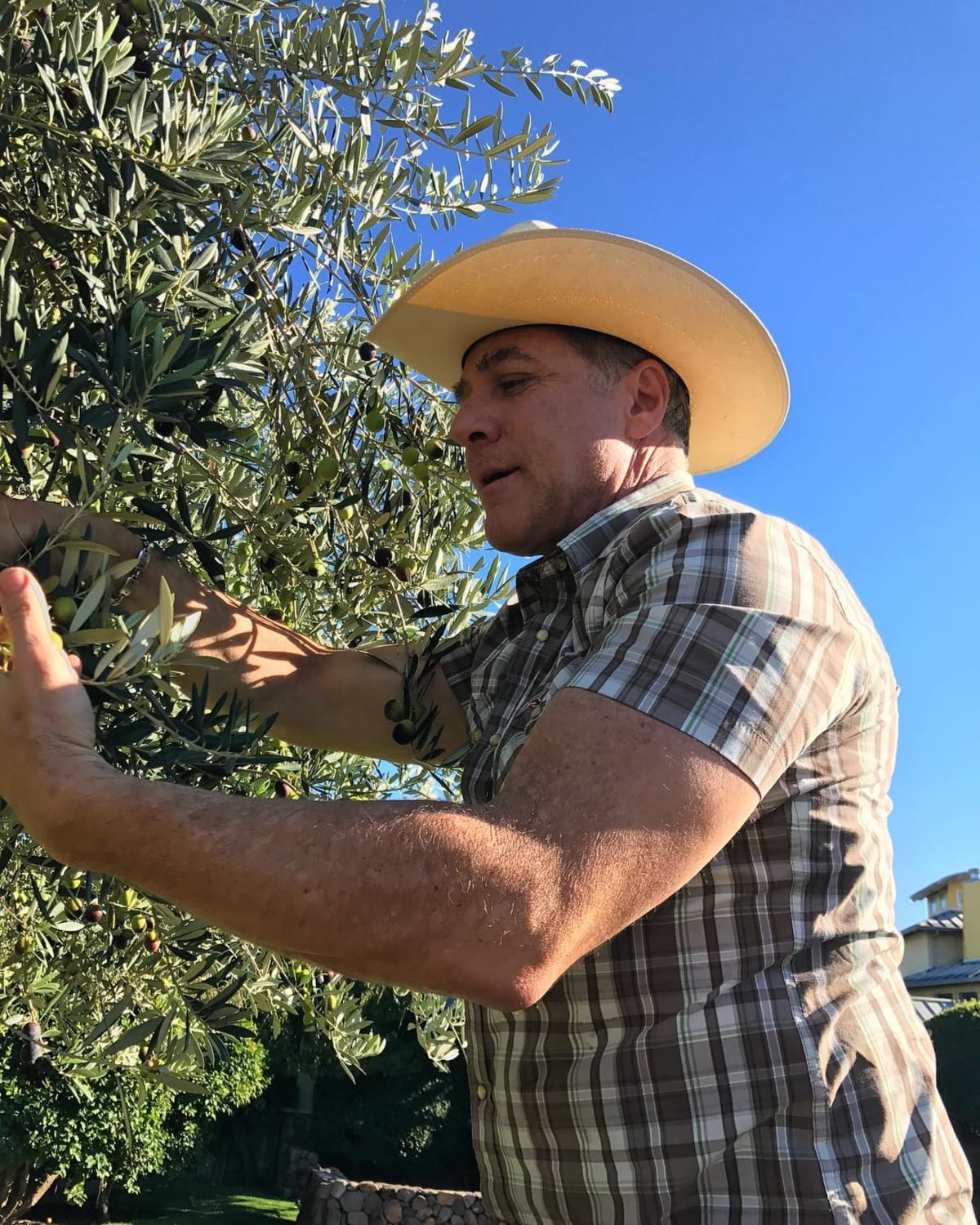 Michael Chiarello was awarded multiple times by the Culinary Institute of America (Instagram/@chefchiarello) 