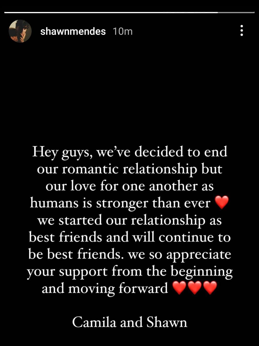 Credits: Instagram/Shawn Mendes