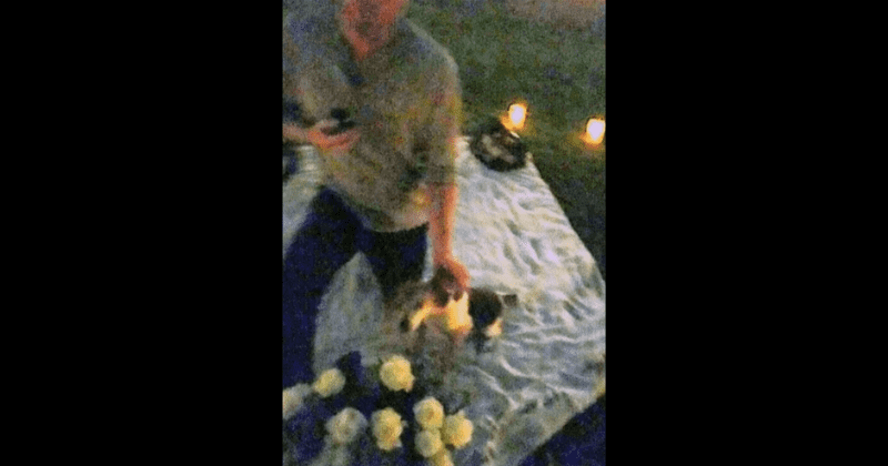 (Screenshot from Netflix's 'Harry & Meghan)