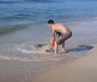 The man who was battling with the fish was initially fishing on the beach (Get The News/YouTube)