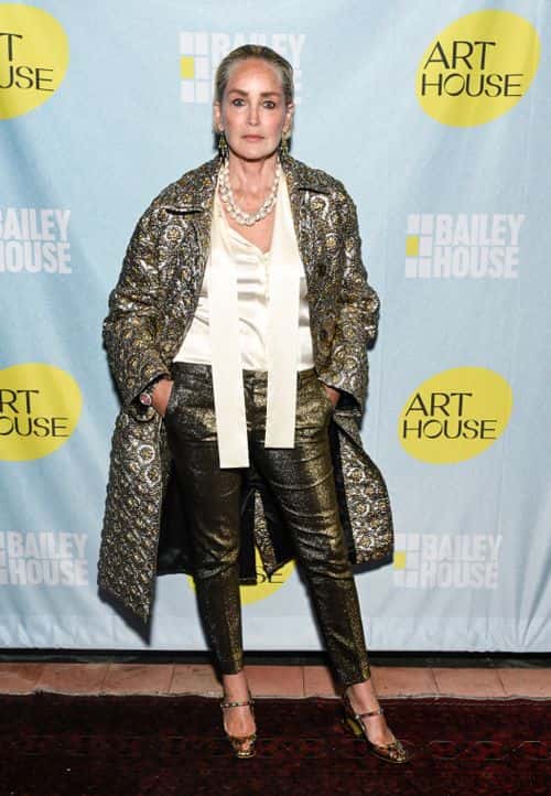 Sharon Stone attends the Bailey House's 2023 Art House benefit honoring Nan Goldin at Bowery Hotel Terrace on June 14, 2023 in New York City.