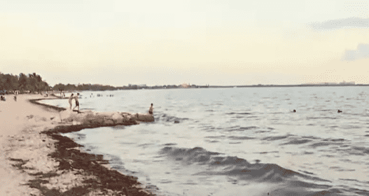 (@NBC6SouthFlorida/Youtube)