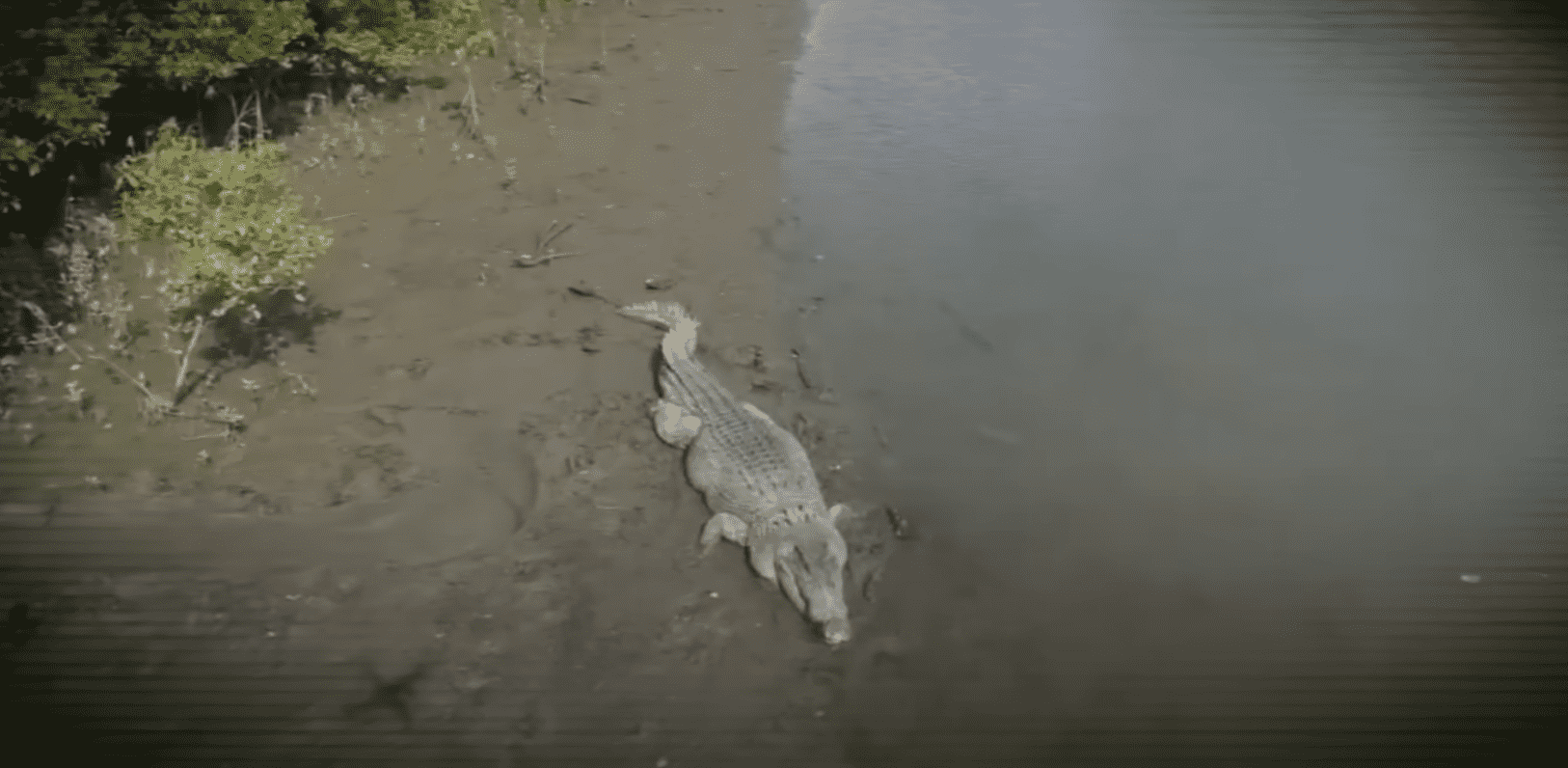 Screenshot/ 9 News Australia