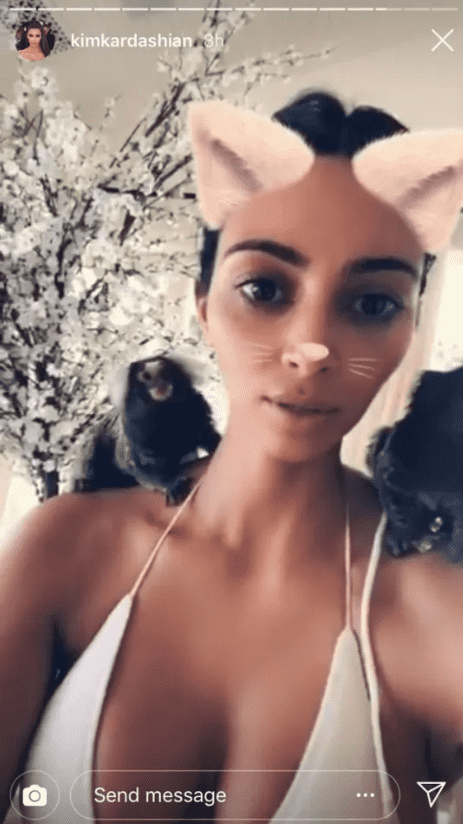 Kim Kardashian with Marmosets (Kim Kardashian/Instagram)