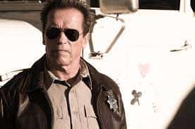 Arnold Schwarzenegger plays Sheriff Ray Owens in 'The Last Stand' 2013 (IMDB) 