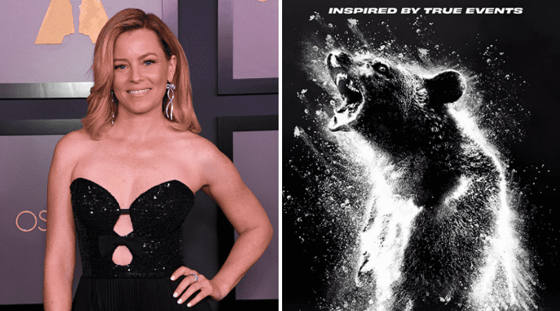 (Jon Kopaloff/Getty Images, IMDb)