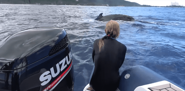 Nan Hauser managed to climb back onboard the boat