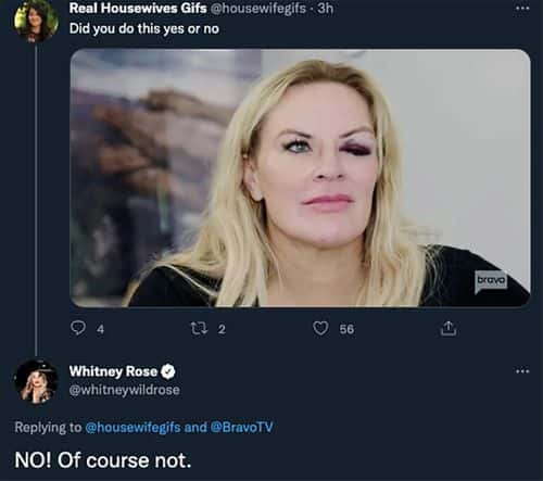 'RHOSLC' star Whitney Rose clarified that she did not give Heather Gay the black eye in one of her tweets (Whitney Rose/ Twitter)