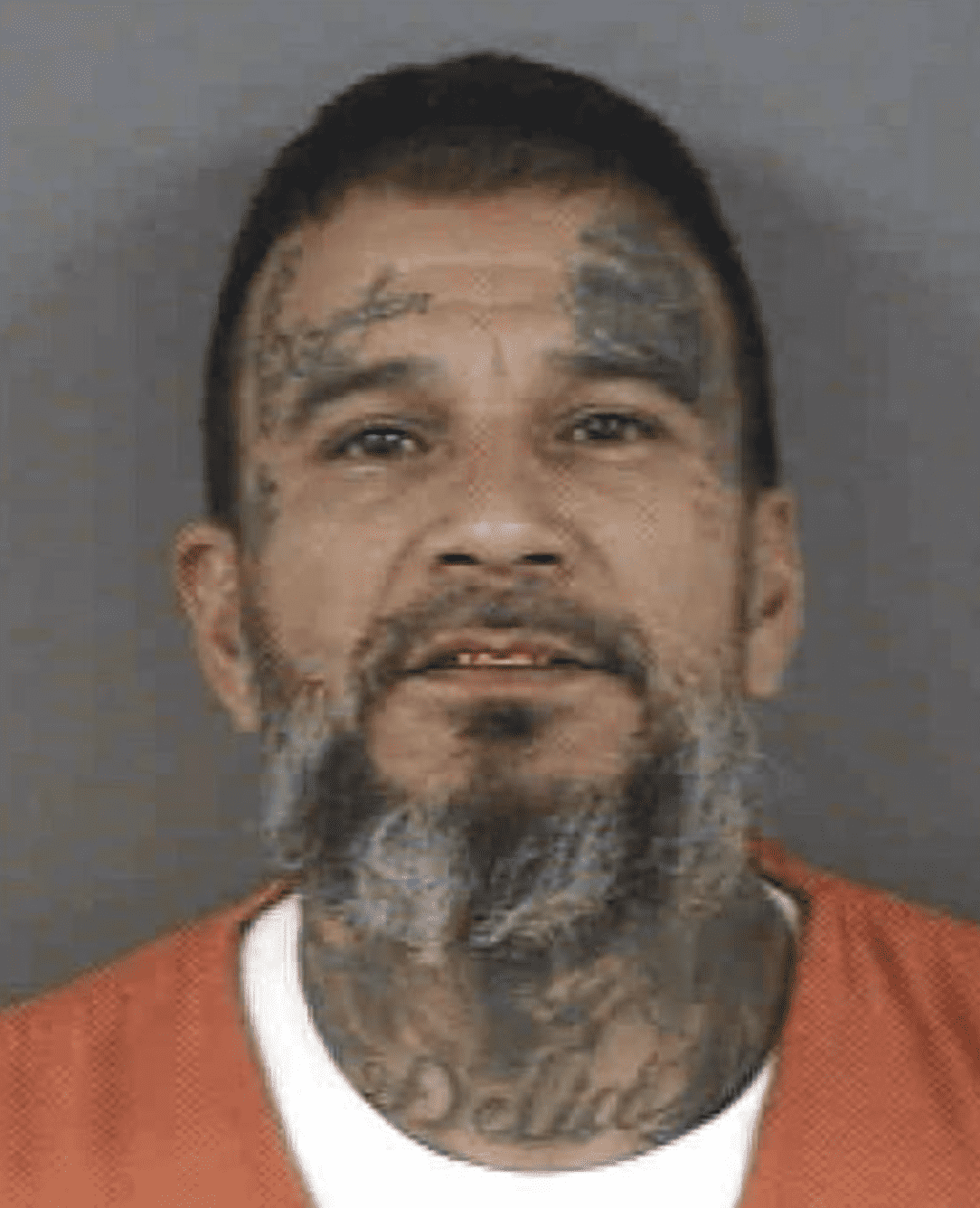 (Collier County Sheriff's Office)