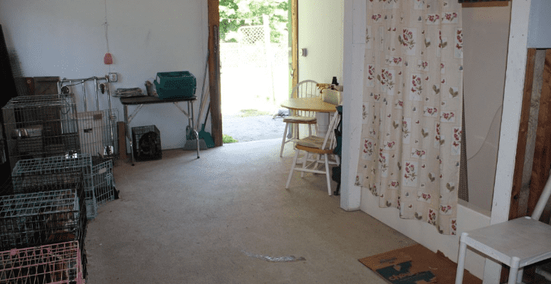 In this trial presentation, presents the scene of the Jaqueline Bledsoe crime with dogs located in the lower left corner and a prominent bloodstain on the carpet in the center foreground 