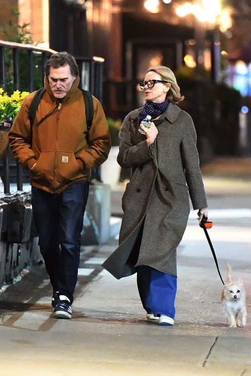 Naomi Watts and Billy Crudup appeared in great spirit as they took a stroll with her dog after enjoying a romantic dinner (Backgrid)