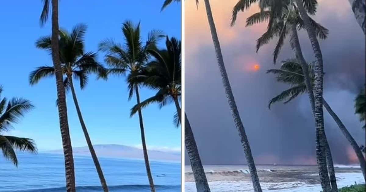 TikTok user Colton Moore&nbsp;posted a video detailing how his wonderful vacation with his wife in Hawaii became horrific after wildfires ravaged the region