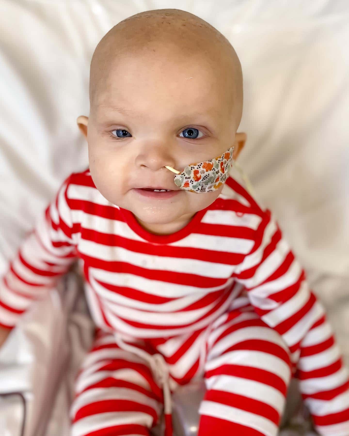 Ted after six rounds of chemotherapy (Jessia Neal/Facebook)