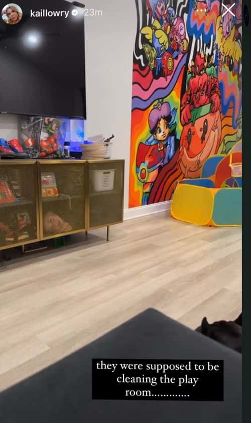 'Teen Mom' star Kailyn Lowry's Instagram story (Instagram/@kaillowry)