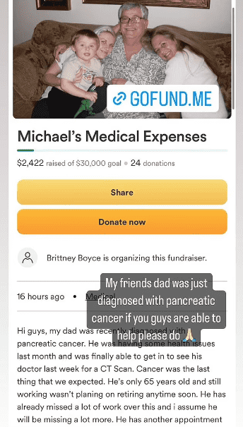 Fox, who has a reported net worth of $8million, re-posted the GoFundMe on her Instagram Story (meganfox/Instagram)