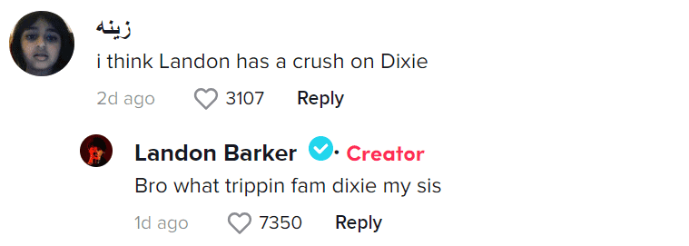 Comment section from Landon Barker's TikTok video with Dixie D'Amelio (@landonbarkerr/Tiktok) 