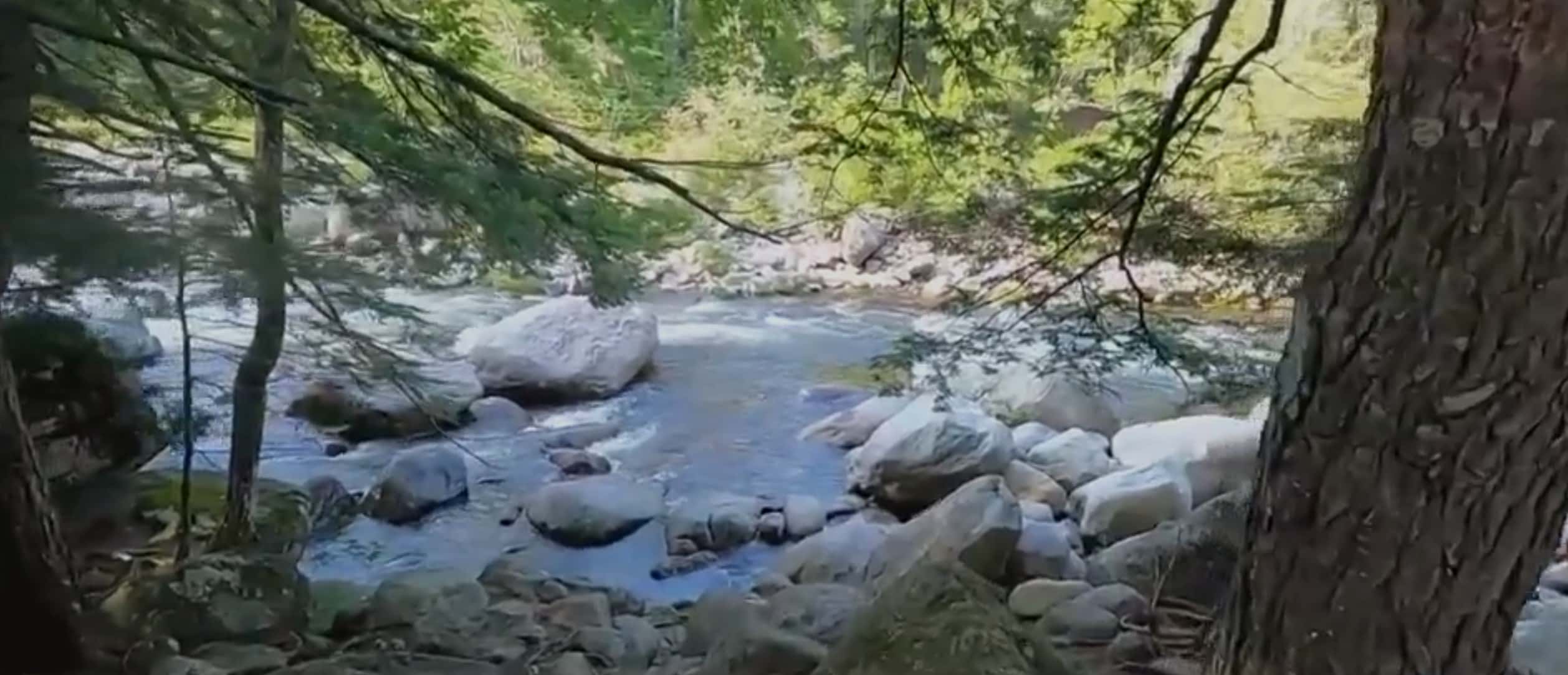 Vincent Parr drowned in the New Hampshire River during a visit to the river with his family (ABC WCVB screengrab)