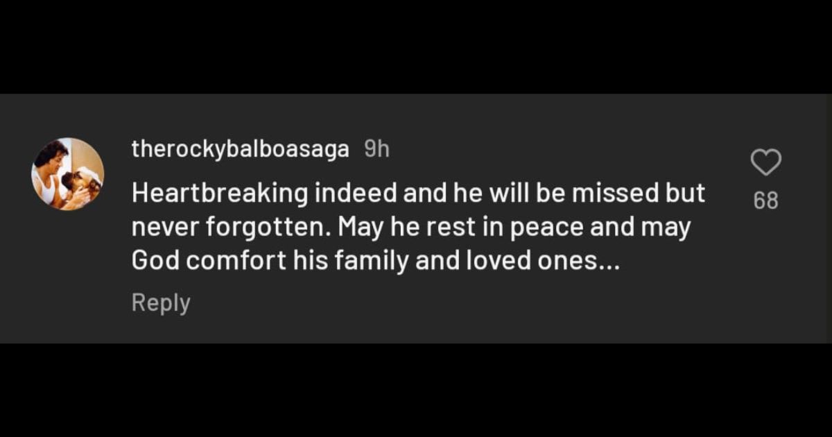 Messages of support and condolences under Stallone's post regarding Burt's passing. (@officialslystallone/Instagram)