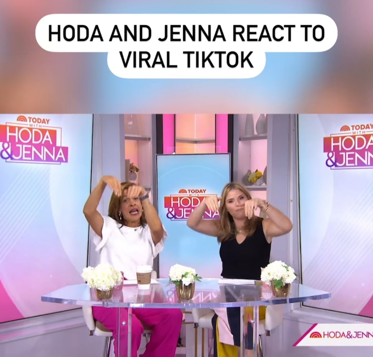 Hoda Kotb and Jenna Bush Hager hilariously respond to viral TikTok (@hodaandjenna/Instagram)