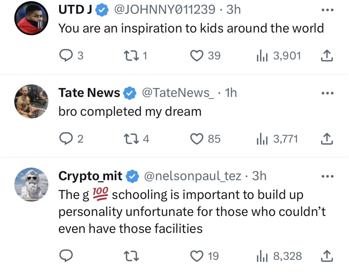 Comments on Tate's Tweet (@Cobratate/Twitter)