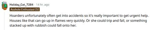 (Reddit/Holiday_Cat_7284)