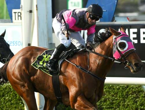 Jockey Dean Holland riding Inn Keeper to win Race 8, the Midfield Group Wangoom Handicap, during the Warrnambool Jumps Carnival at Warrnambool Racing Club on May 05, 2021 in Warrnambool, Australia.
