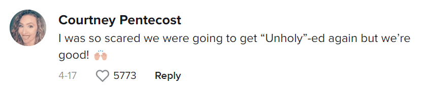 (ChinChilla Music/TikTok)