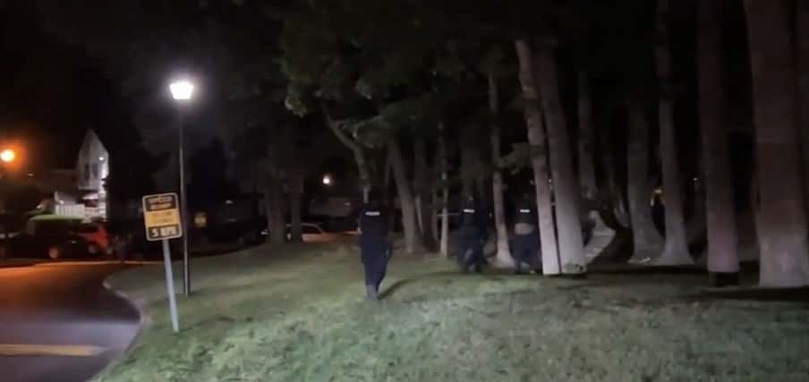 Lovely Toney, 3, struck by stray bullet 