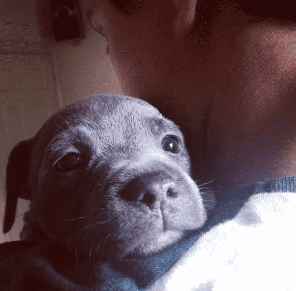 (tomholland2013/Instagram)