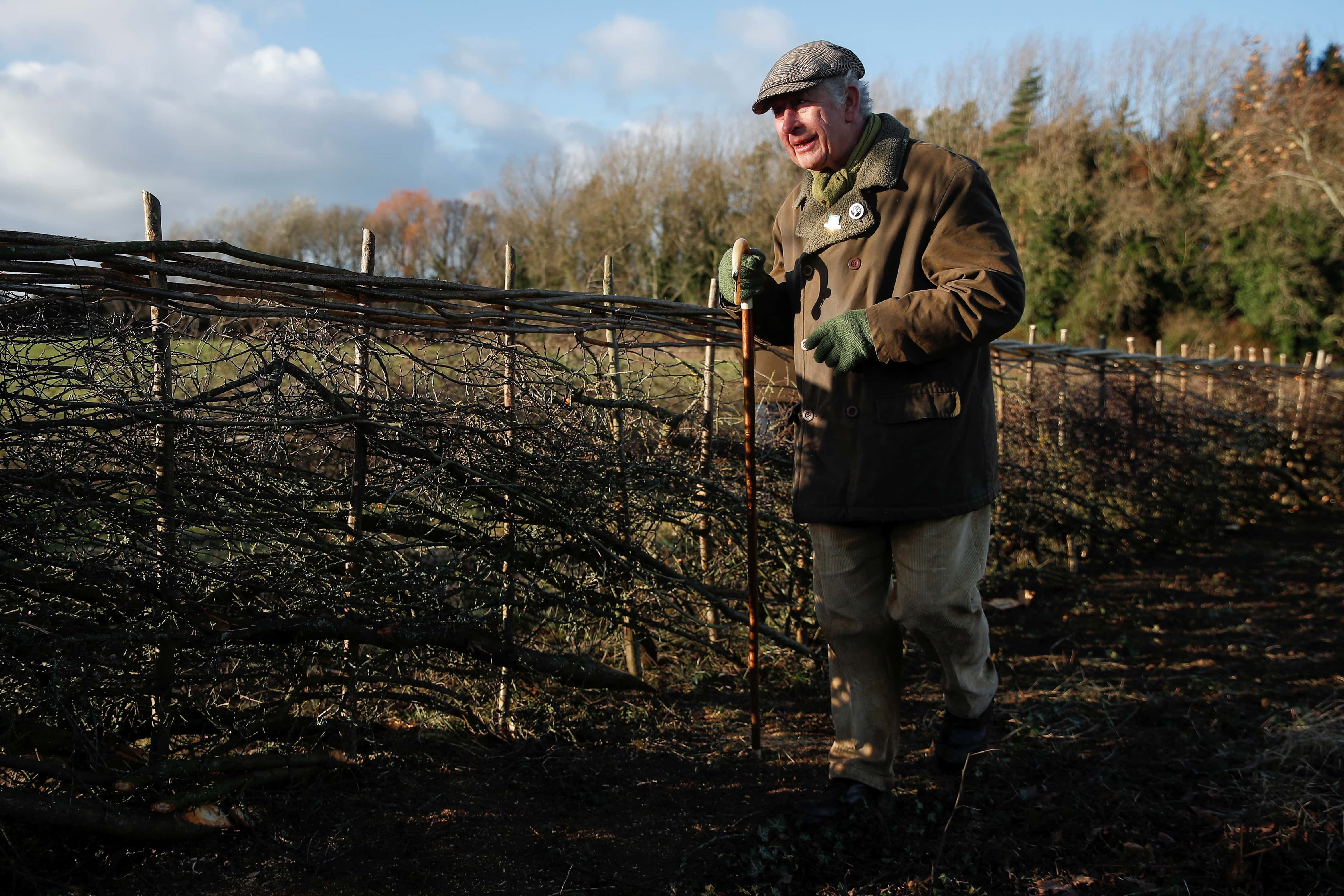 Britain's Prince Charles, Prince of Wales attends a hedge-laying event at Highgrove Estate on December 4, 2021 near Tetbury, Gloucestershire, England.