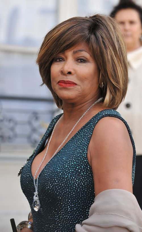 Singer Tina Turner poses in the courtyard of the Elysee Palace before attending a ceremony at the president's official residence for honorees of France's most prestigious Legion D'Honneur award on July 3, 2008 in Paris, France.