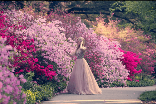 Melissa specializes in photography (melissahutchinsonphoto/Instagram)