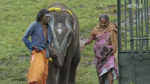 A still from 'The Elephant Whisperers' (Netflix)