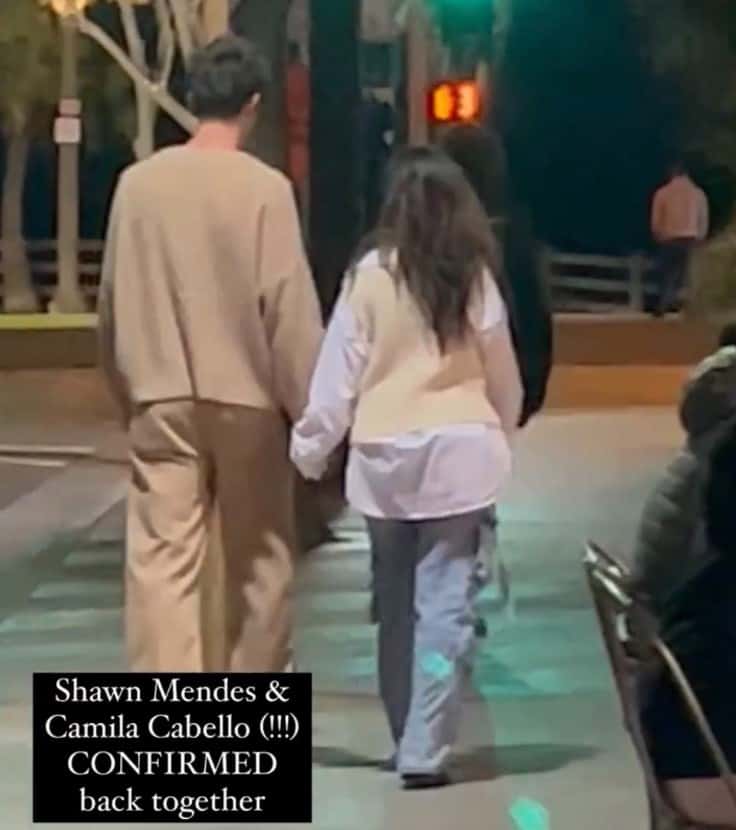 (bazaaraustralia/TikTok)