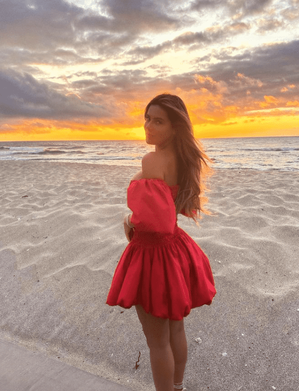 (Instagram_briellebiermann)