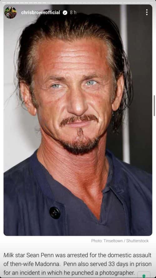 Chris Brown Slams Sean Penn (Instagram/ Chris Brown Official)