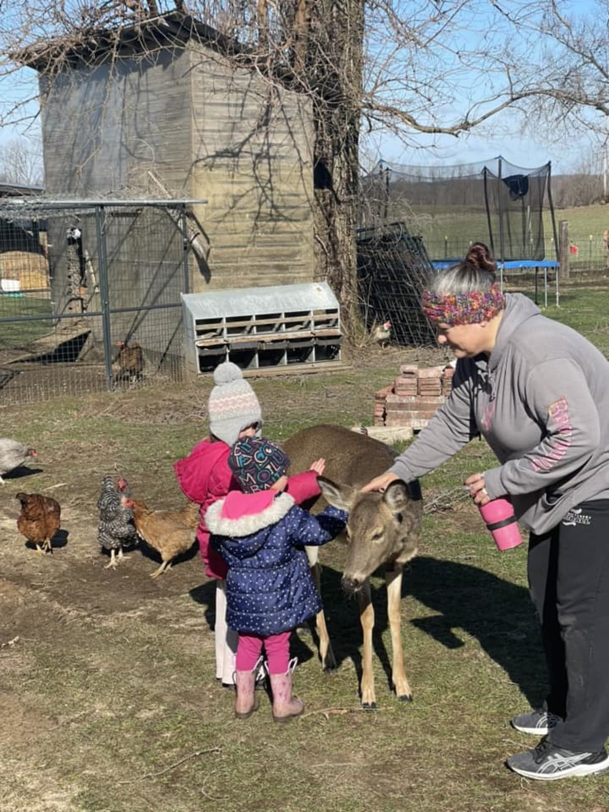 (Allison Streit/Facebook)