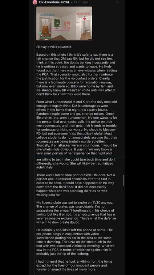 Reddit user comment related to the Idaho murder case released affidavit (Screenshot from Reddit)