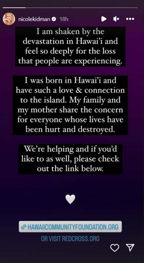 Nicole Kidman's Instagram Story (@nicolekidman/Instagram)