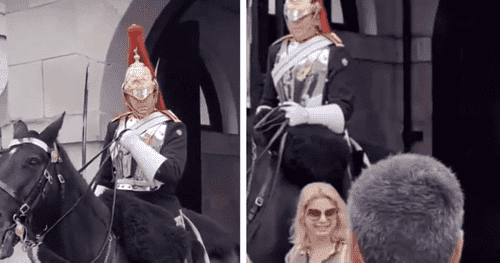 In an attempt to get closer to the horse, the tourist tries to grab its reins, much to the annoyance of the guard sitting on its back (screenshot @_phigs/TikTok)