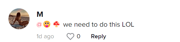 (bigfatpoppypants/TikTok)