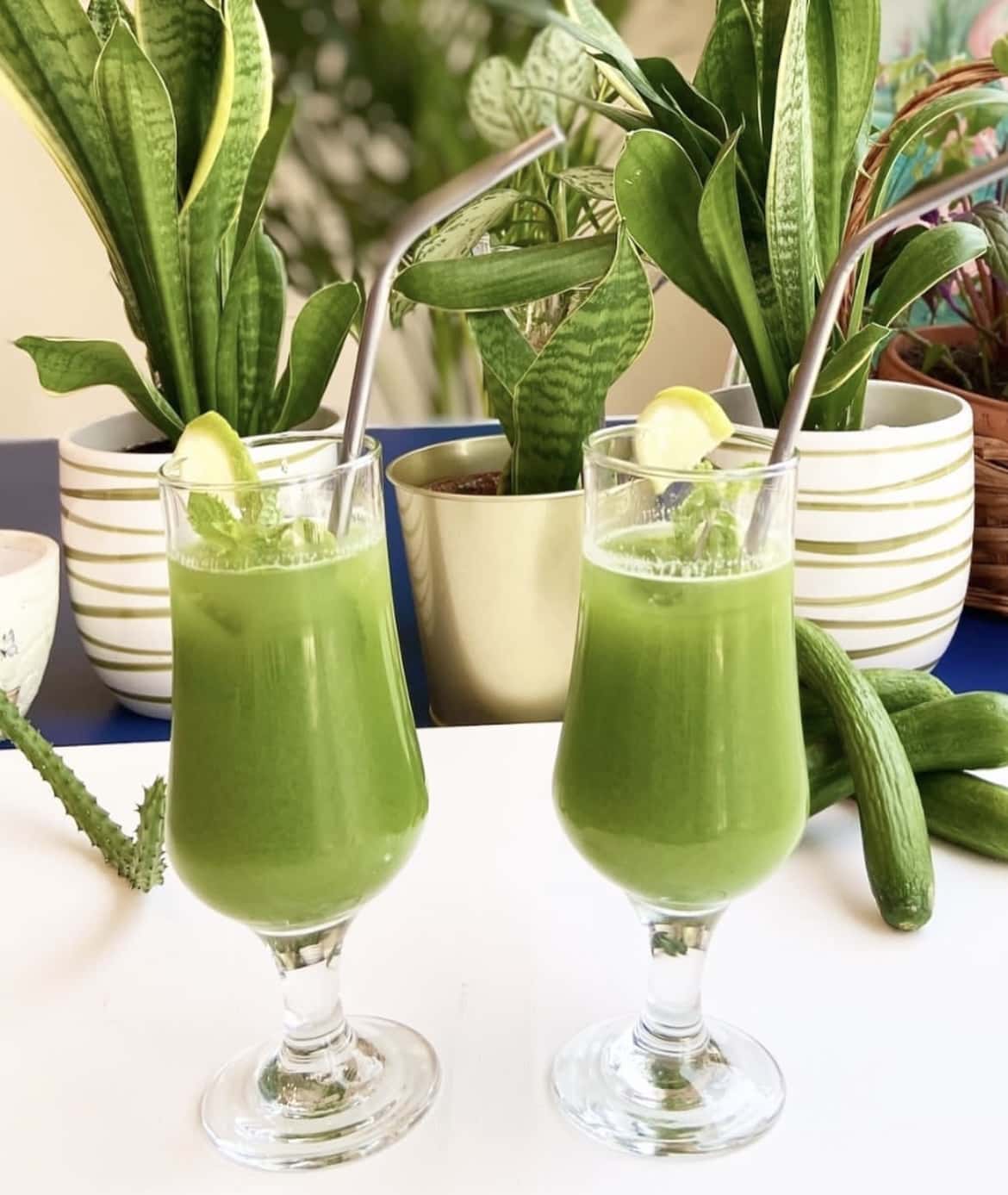 Cucumber and Mint (@cookwithtammy/instagram) 