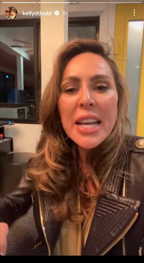 Kelly Dodd accussed Michael Dodd of abusing her in her Instagram story (@kellyddodd/Instagram)